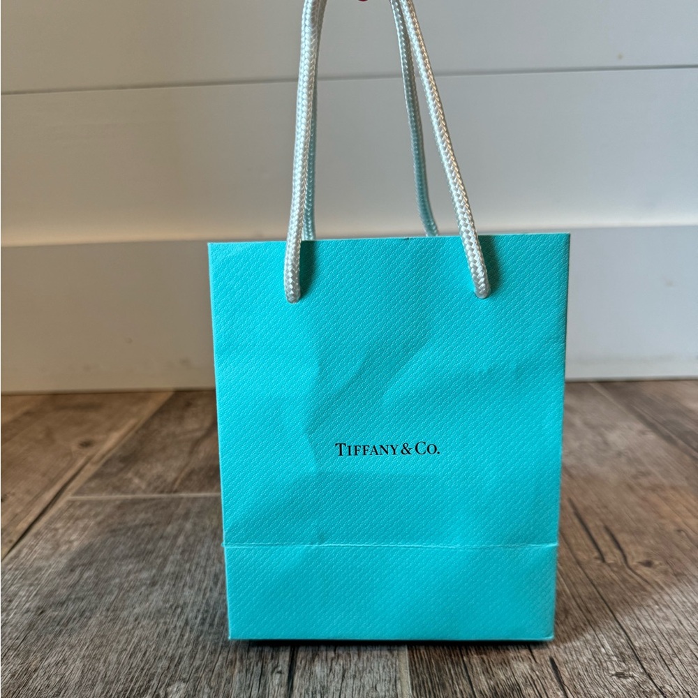 Tiffany & Co. shopping bag
